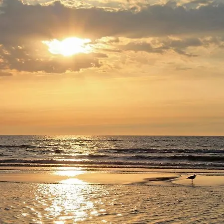 Magnifico Attico In Centro A Due Passi Dal Mare 아파트